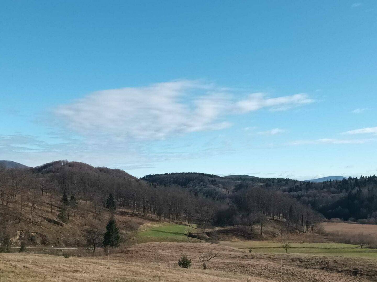 Weite Landschaft mit kahlen Bäumen auf Hügeln und grünen Wiesen unter bewölktem Himmel.