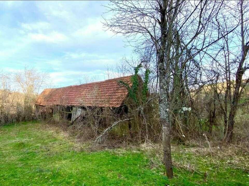 Alte, verfallene Scheune mit rotem Ziegeldach, umgeben von überwucherten Sträuchern und kahlen Bäumen.