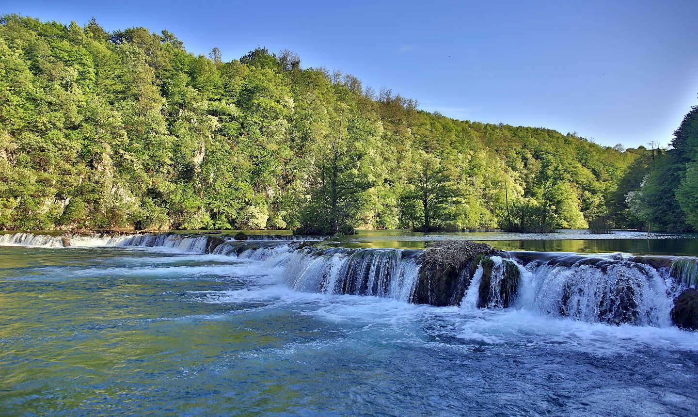 Malerischer Fluss mit kleinen Wasserfällen, umgeben von dichtem, grünem Wald unter blauem Himmel.