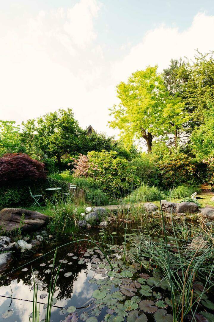 Idyllischer Gartenteich mit Seerosen und üppiger Bepflanzung, umgeben von Bäumen.