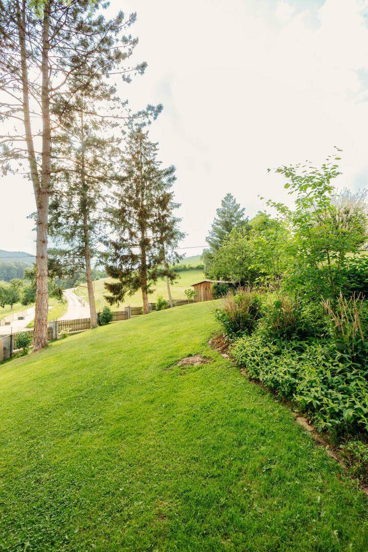 Sanft abfallender grüner Hügel mit hohen Bäumen und weitem Blick auf die Landschaft.
