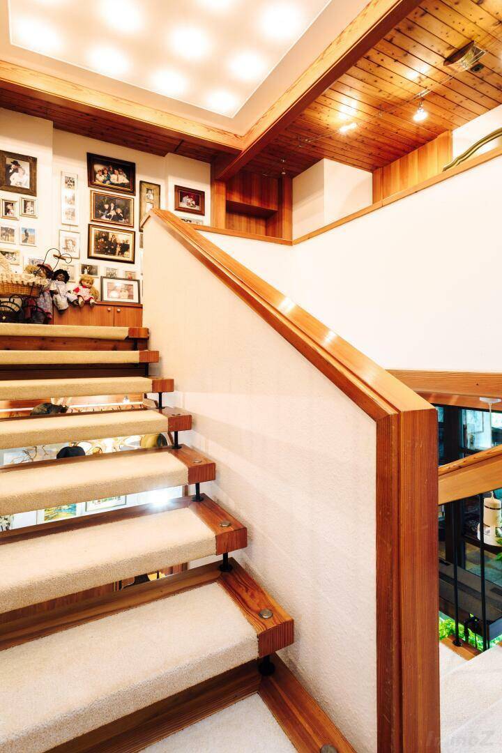 Elegante Treppe mit Teppichstufen und Holzgeländer, führt in die obere Etage.
