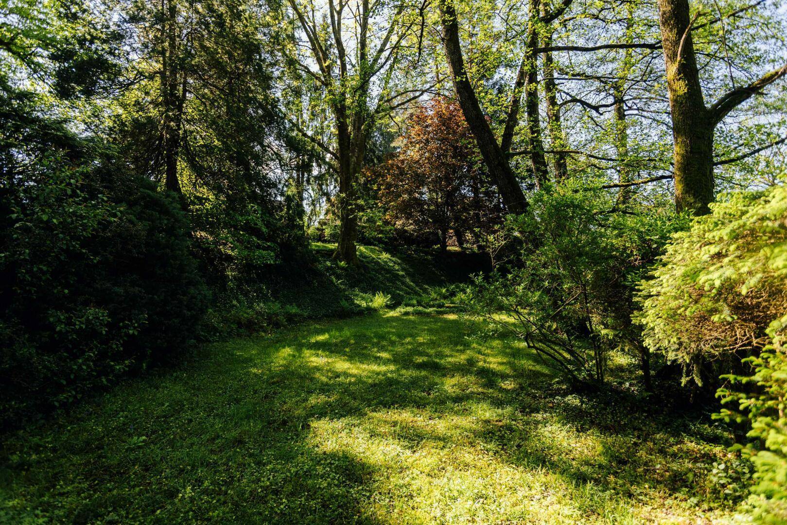 Garten 01
