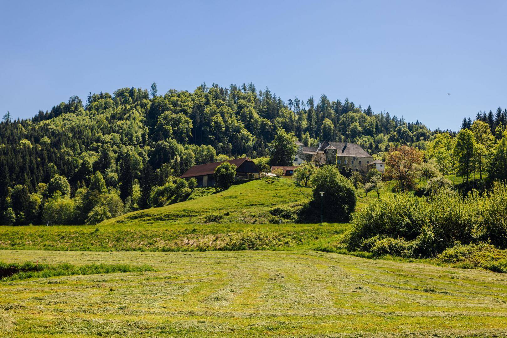 Schlossblick vom Garten