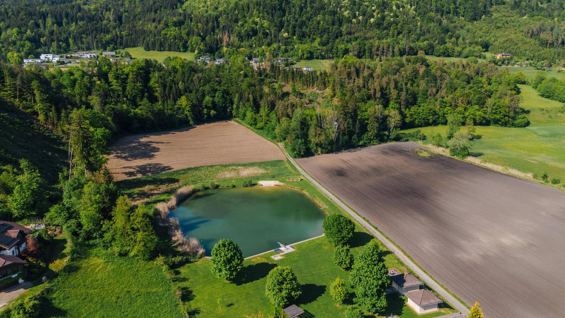 DJI_0481