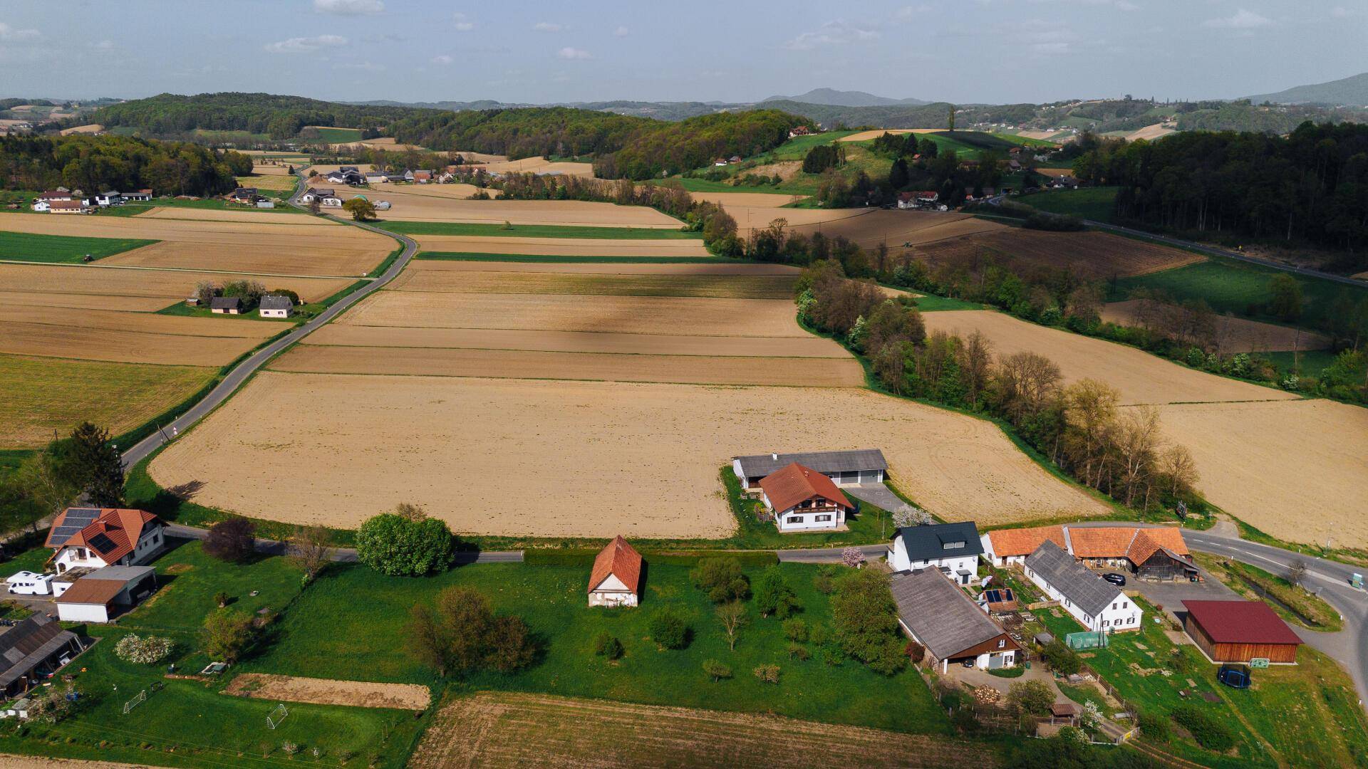 DJI_0247