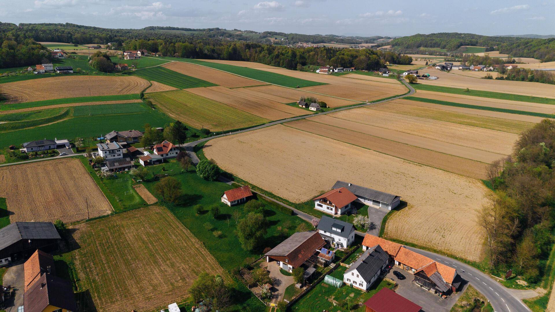 DJI_0244