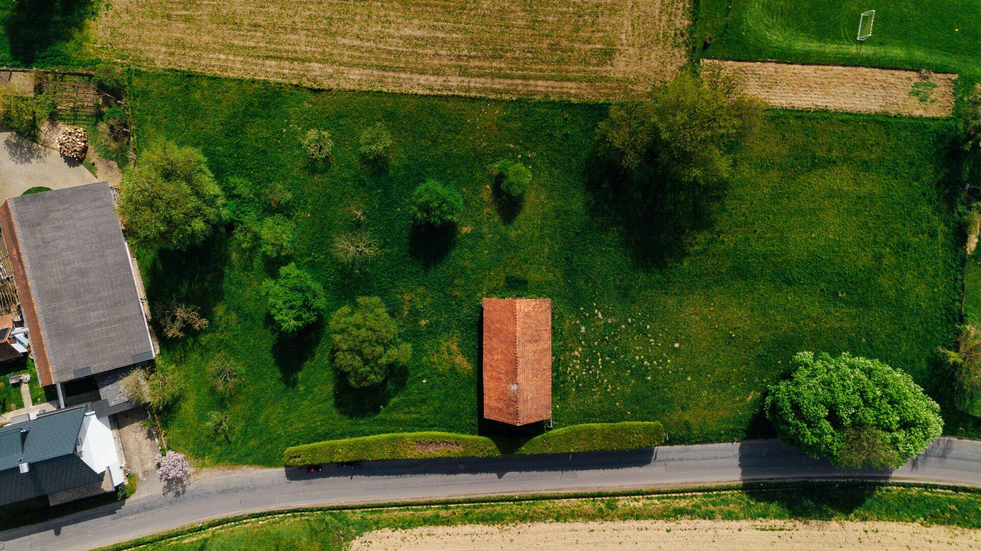 DJI_0223