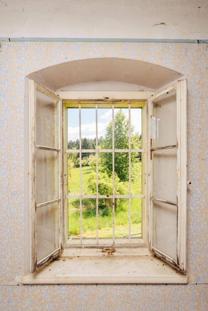 Nahaufnahme eines alten Fensters mit Gitterstäben, das einen Blick auf die grüne Natur freigibt.