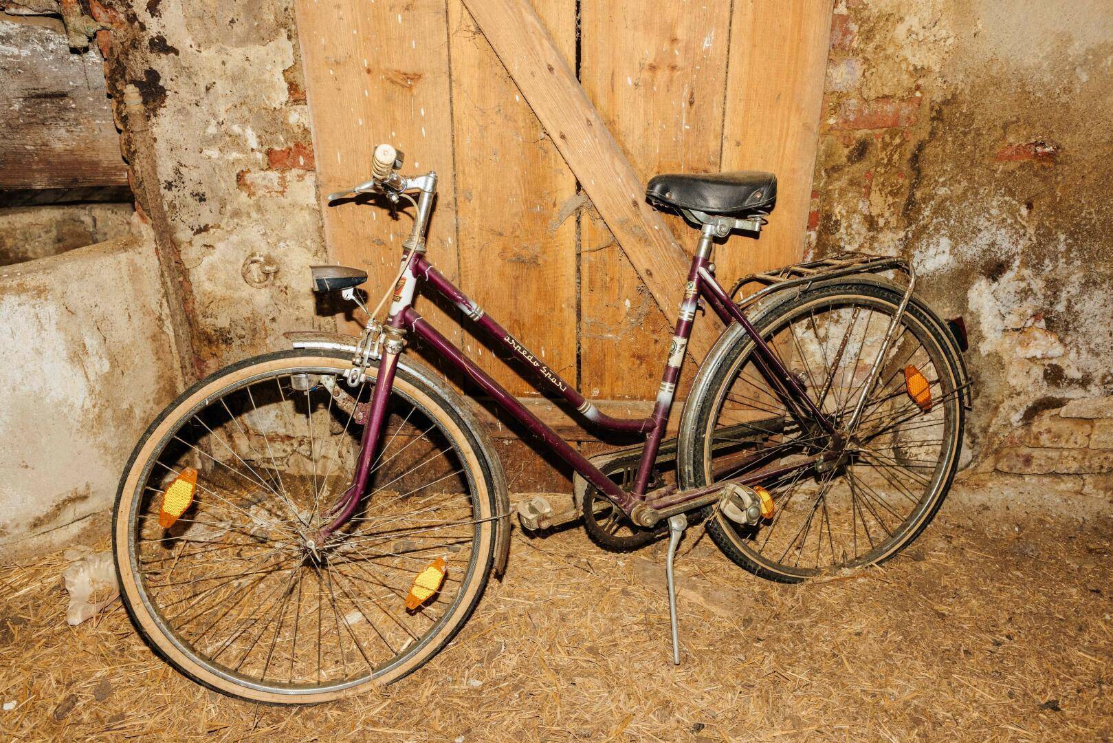 Alter Fahrrad in einem rustikalen Raum mit Ziegelwänden und Holztür, der den Charme des Hofes unterstreicht.