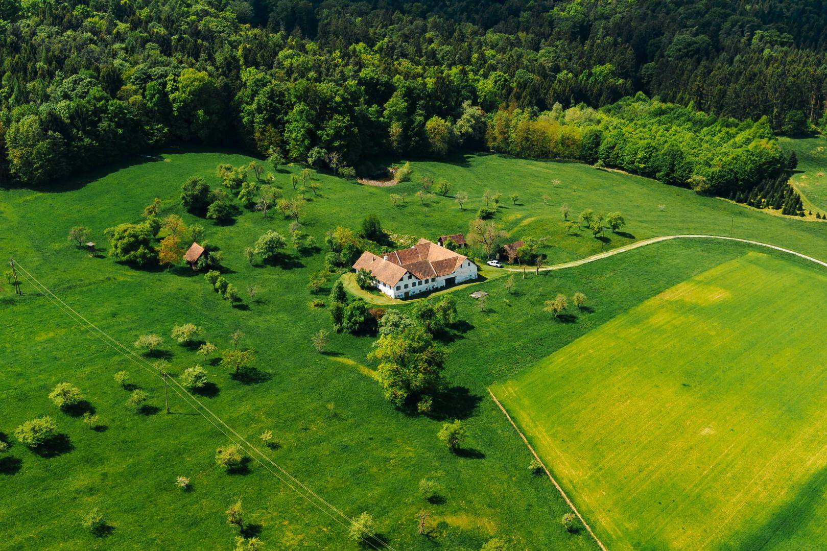 Panoramablick aus der Luft auf einen Bauernhof, eingebettet in eine grüne Hügellandschaft mit angrenzendem Wald.