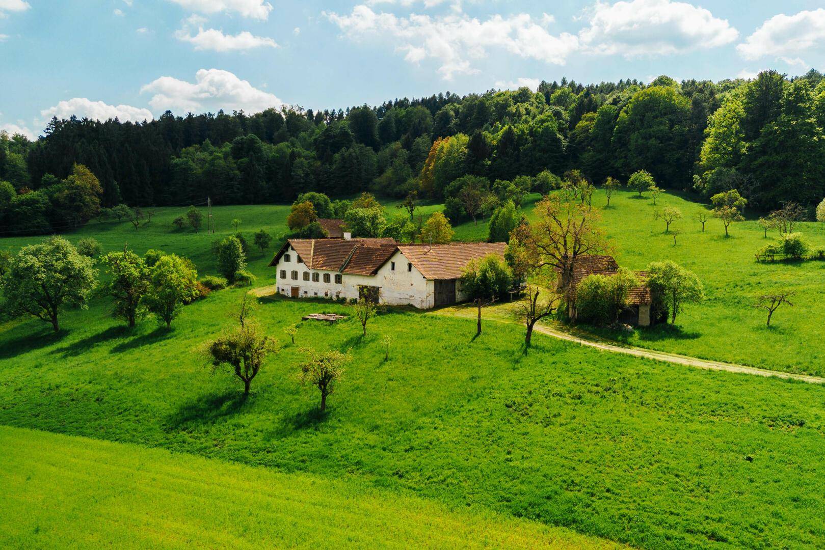 Luftaufnahme eines historischen Bauernhofs, umgeben von grünen Wiesen und einem Waldrand unter blauem Himmel.