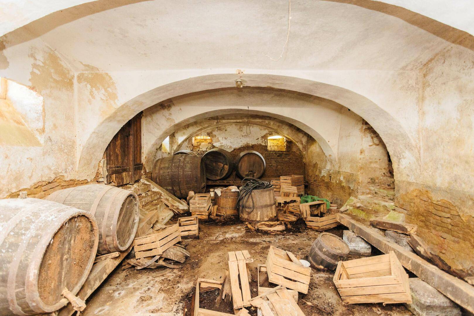 Weitläufiger Weinkeller mit Gewölbedecke, Holzfässern und Kisten, der viel Lagerplatz bietet.