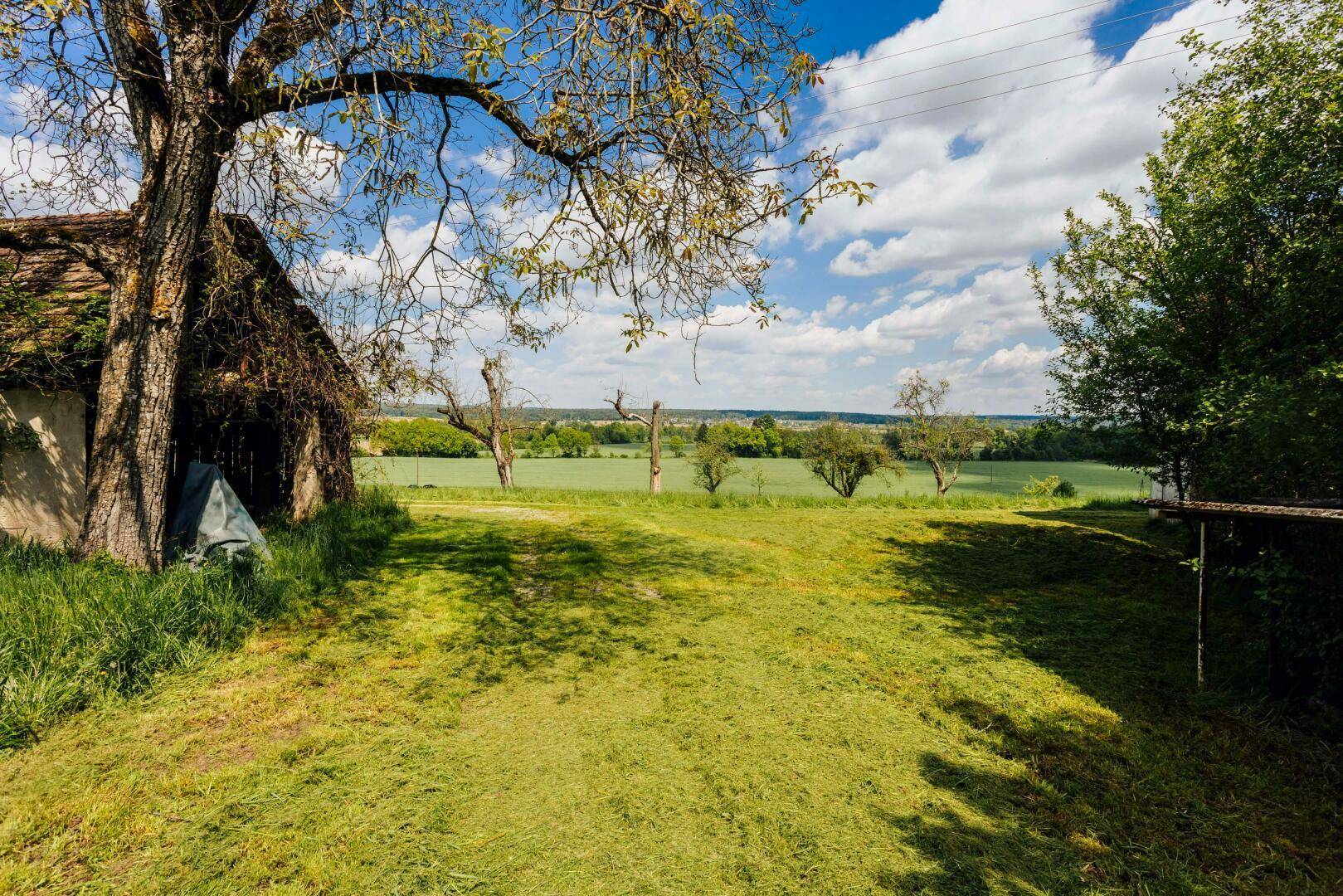 Grüne Wiese mit altem Baum und weitem Blick über die ländliche Landschaft unter blauem Himmel.