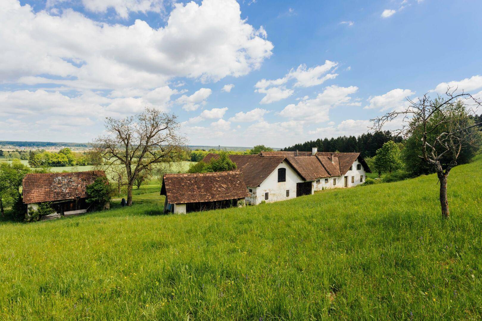 Historischer Bauernhof mit mehreren Gebäuden und roten Ziegeldächern, eingebettet in eine grüne Hügellandschaft.