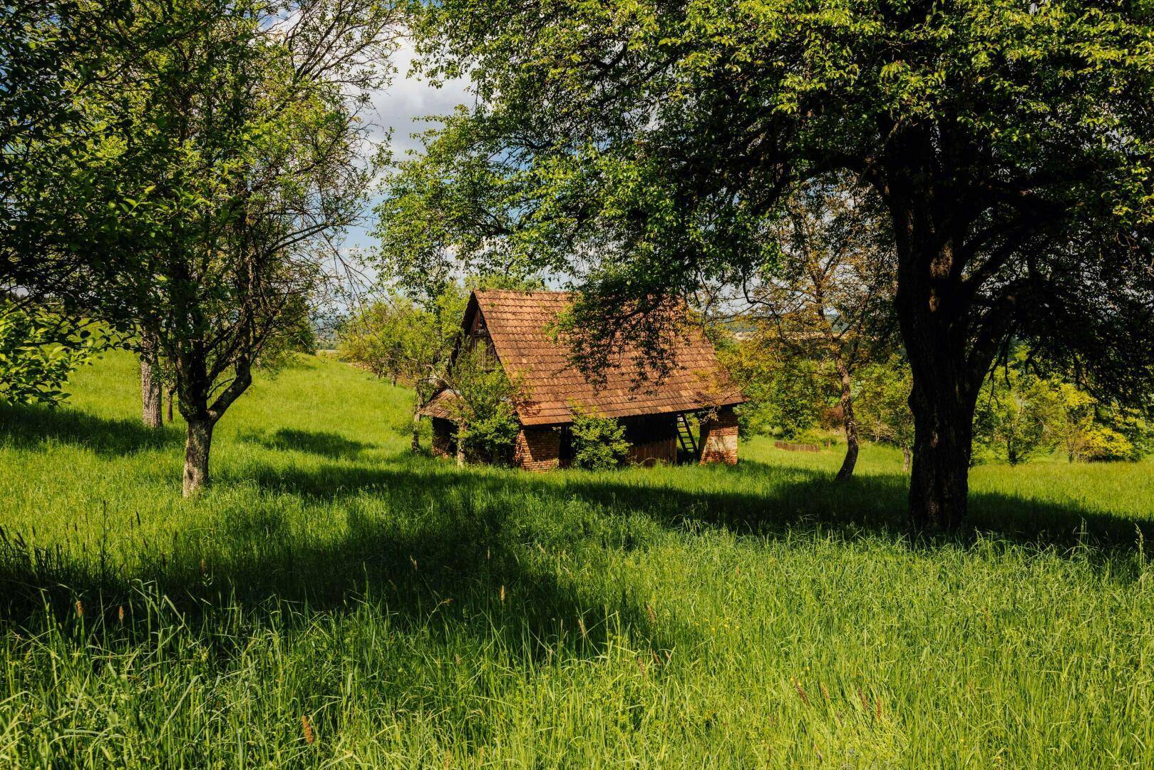 Kleines, rustikales Nebengebäude mit Ziegeldach, eingebettet in eine grüne Wiese unter Bäumen.