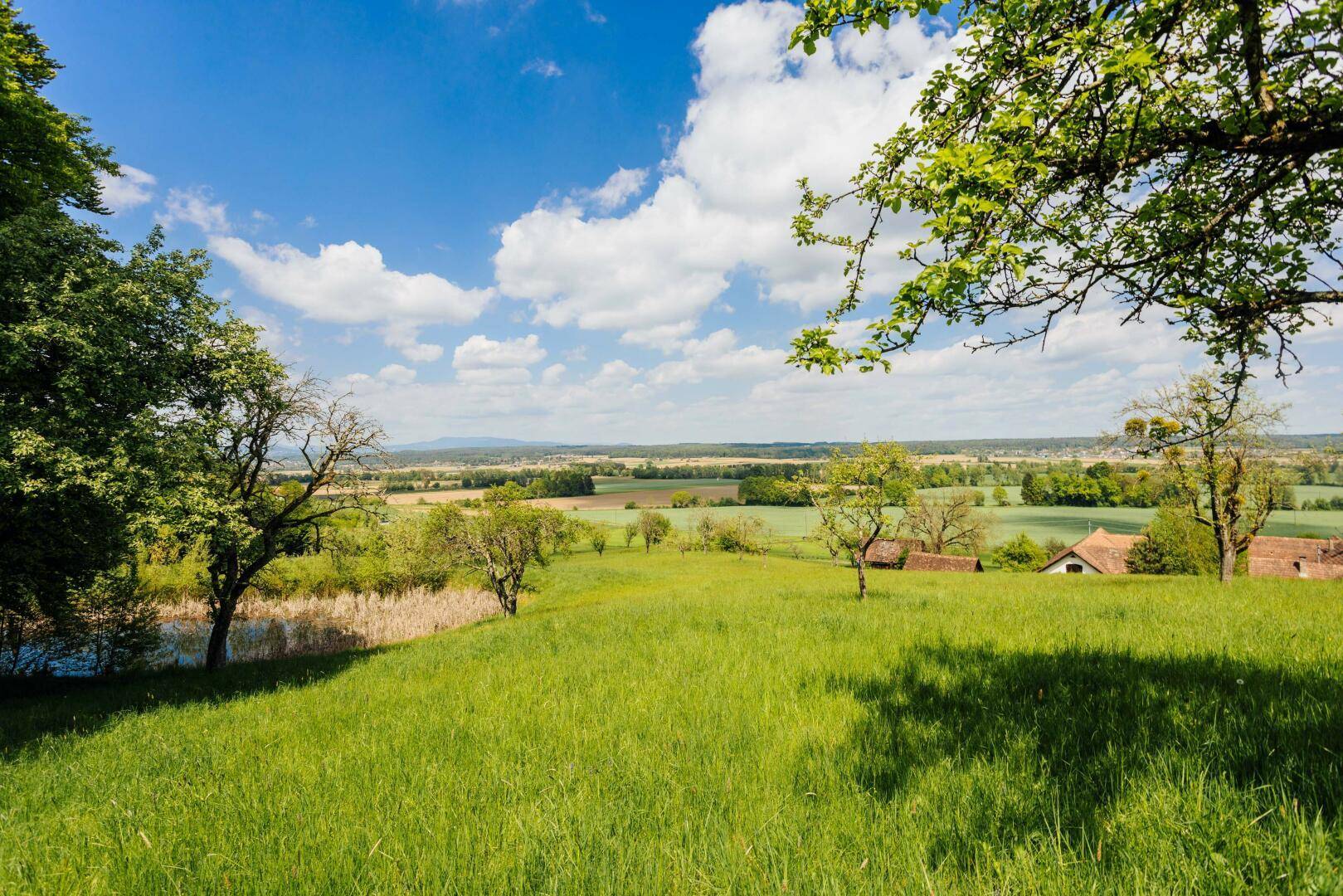 Panoramablick über eine hügelige grüne Landschaft mit Bäumen und einem Teich im Vordergrund.