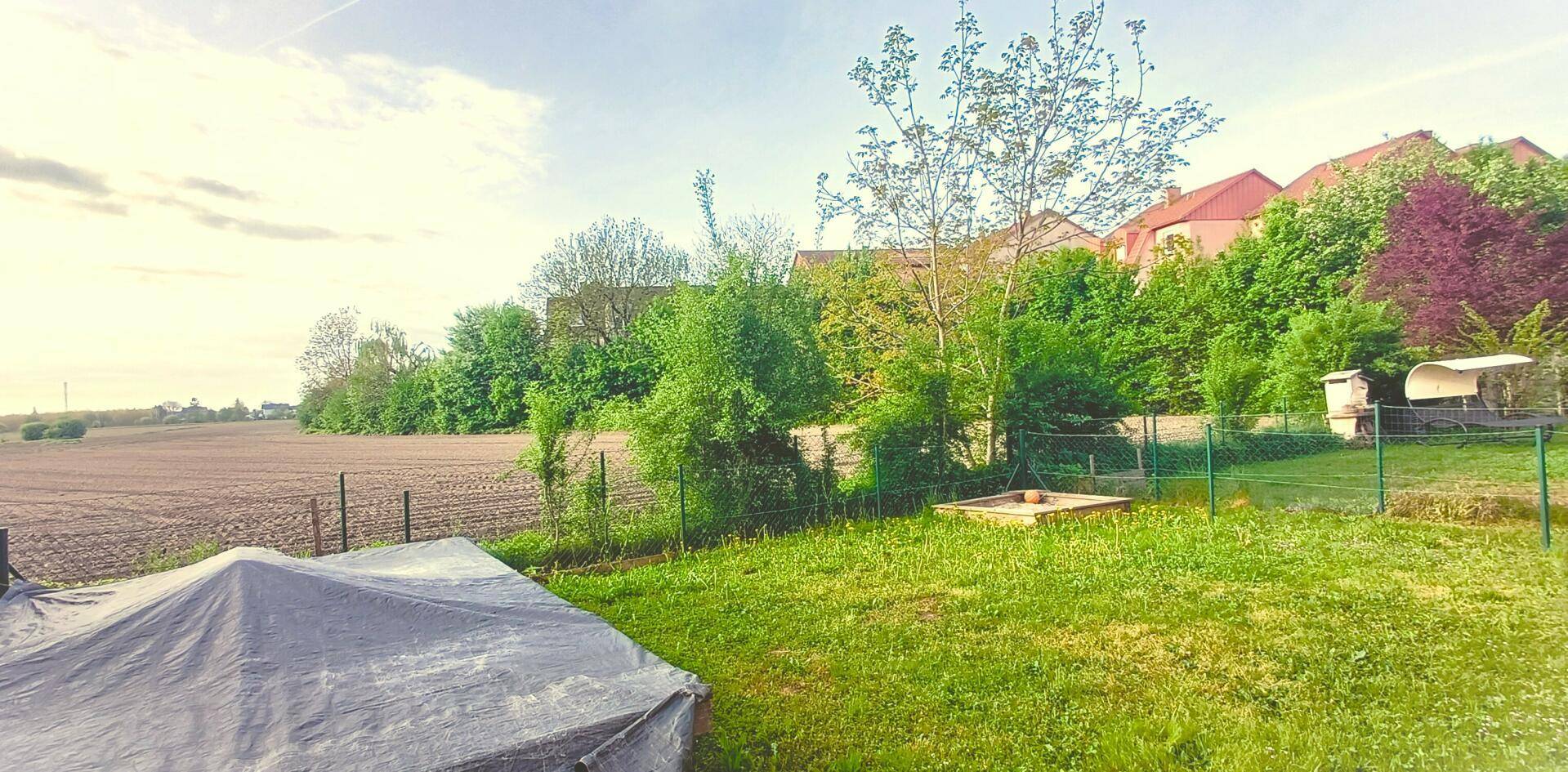 09 Garten