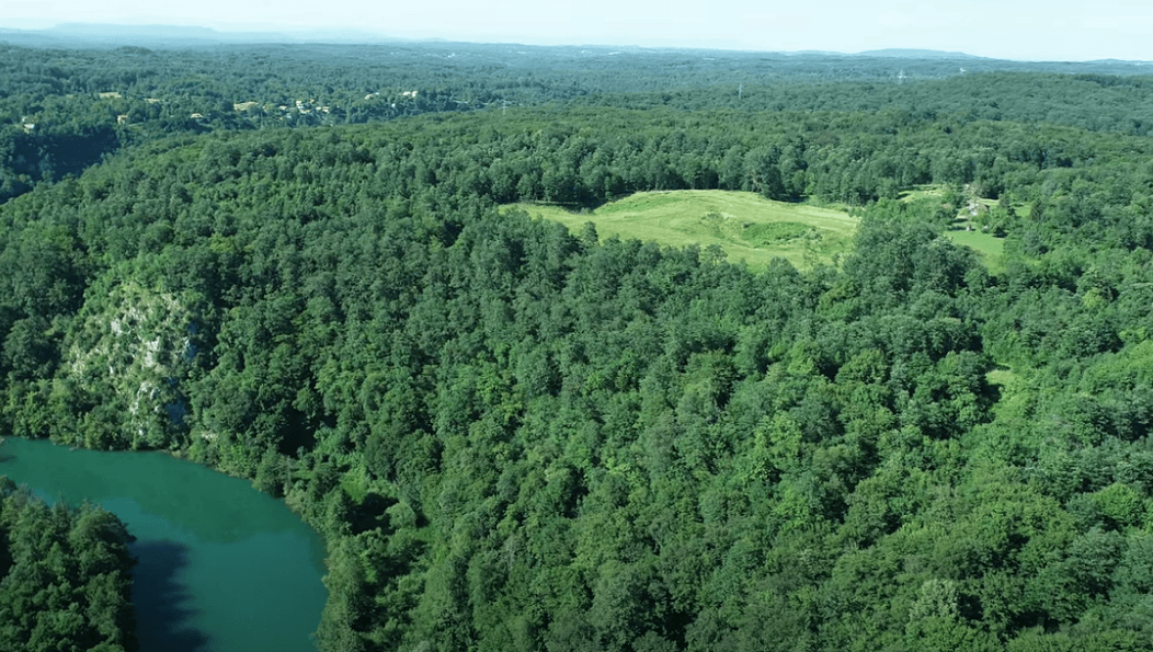 Luftaufnahme einer weiten Waldlandschaft mit einem Fluss und einer Lichtung.