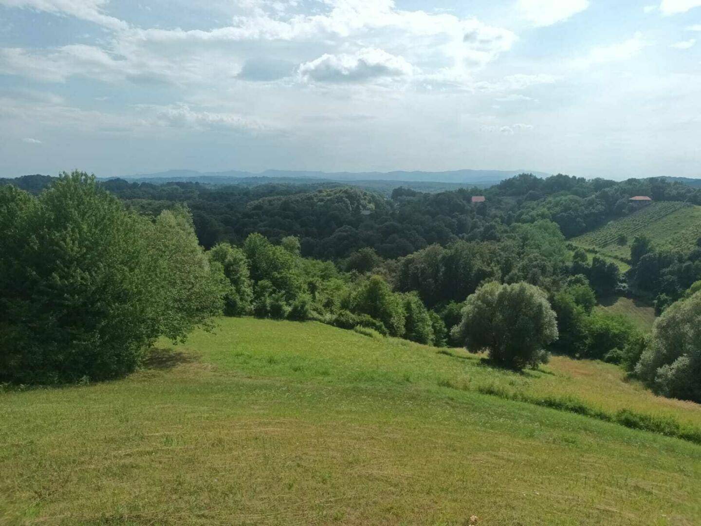 Weitläufige grüne Landschaft mit bewaldeten Hügeln und vereinzelten Gebäuden unter einem leicht bewölkten Himmel.