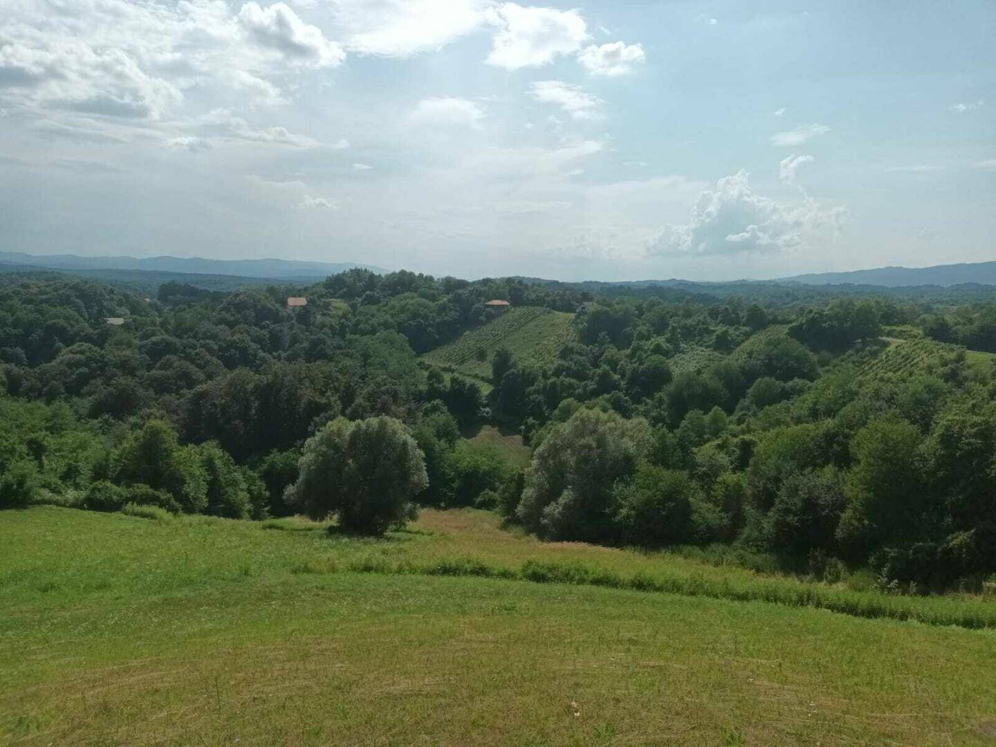 Panoramablick über eine weitläufige grüne Landschaft mit bewaldeten Hügeln und vereinzelten Häusern unter bewölktem Himmel.