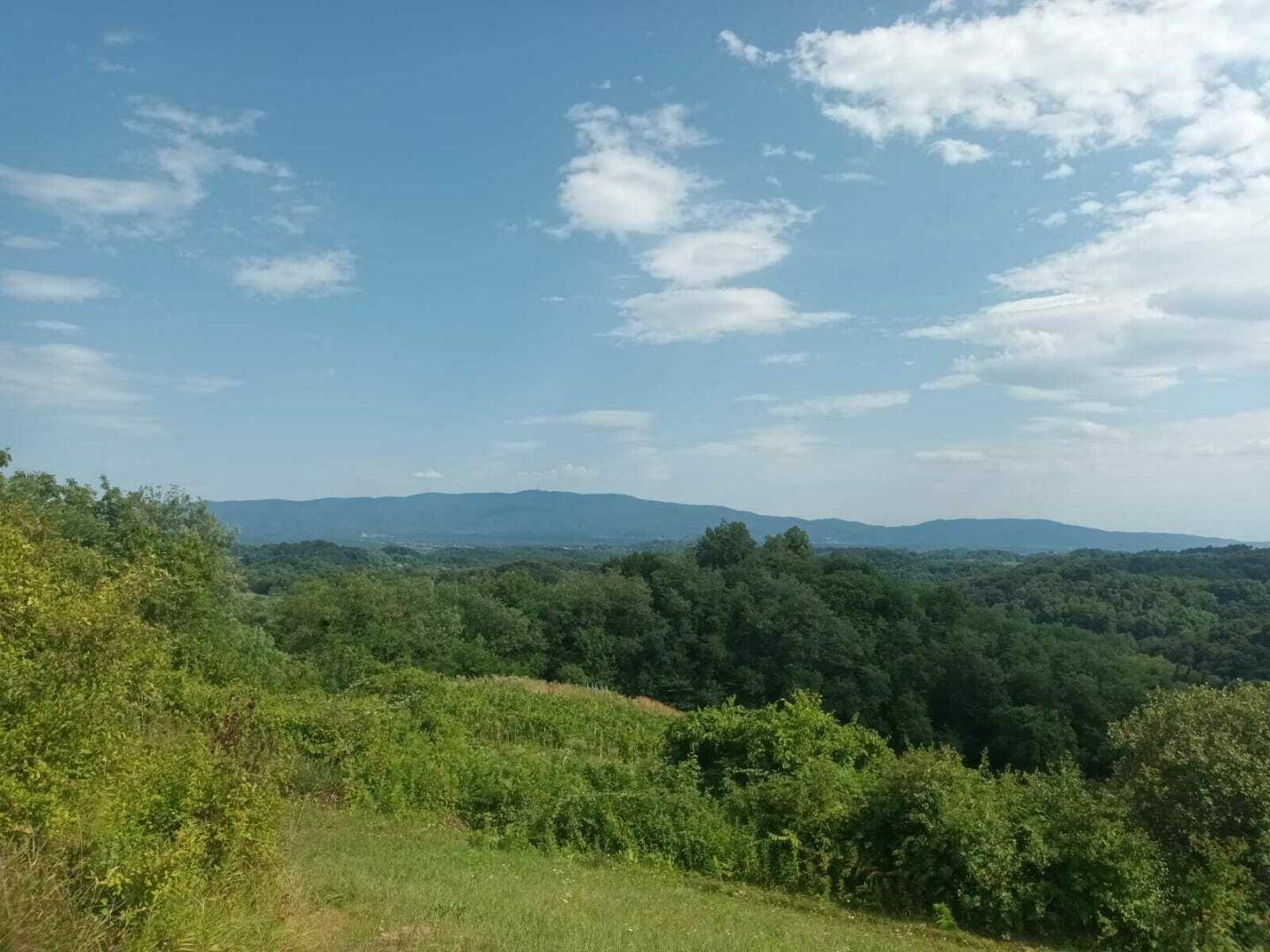 Weitläufige grüne Hügellandschaft mit dichten Wäldern und Bergen am Horizont unter einem blauen Himmel.