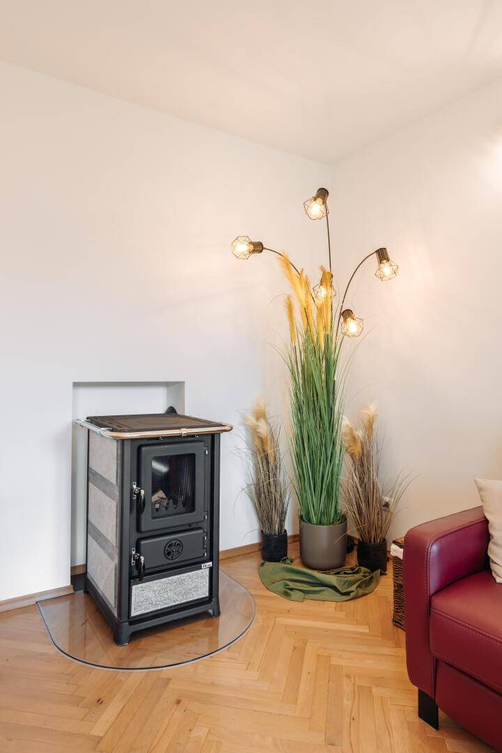 Wohnzimmer mit modernem Kaminofen, Parkettboden und dekorativen Pflanzen.