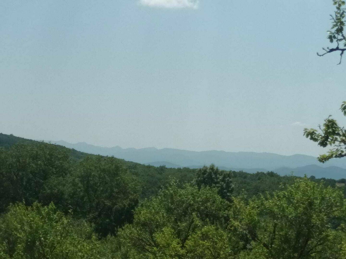 Weitläufiger Blick über eine grüne, bewaldete Landschaft mit sanften Hügeln am Horizont.