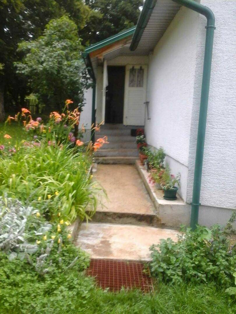 Eingangsbereich des Hauses mit einem Betonweg, umgeben von blühenden Pflanzen und Grün.