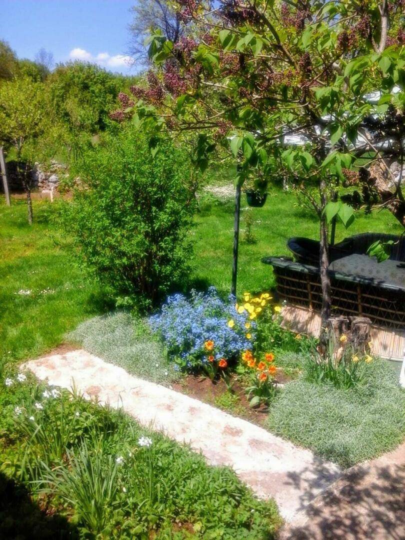 Gepflegter Gartenbereich mit blühenden Blumenbeeten, einem Steinweg und üppigem Grün.