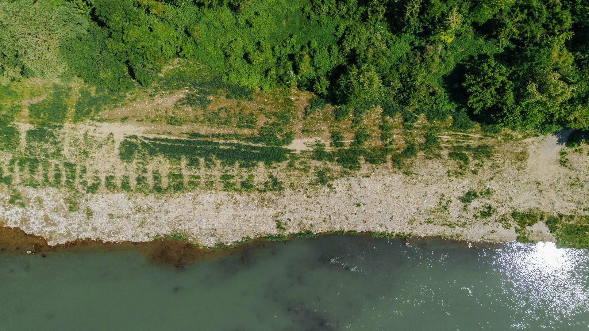 Direkte Draufsicht auf ein Flussufer mit karger Vegetation und dem fließenden Gewässer.