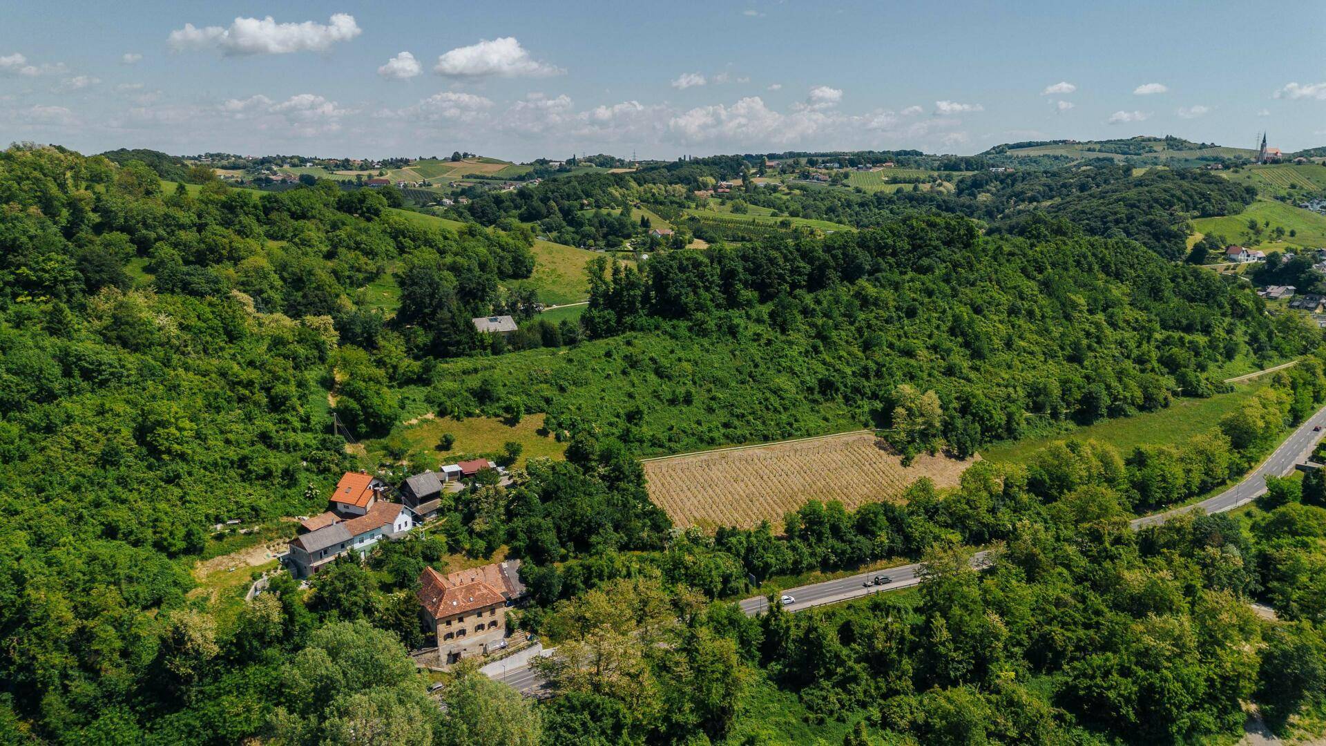 Panoramablick auf eine grüne Hügellandschaft mit Fluss, Straße, Häusern und einem Weinberg.