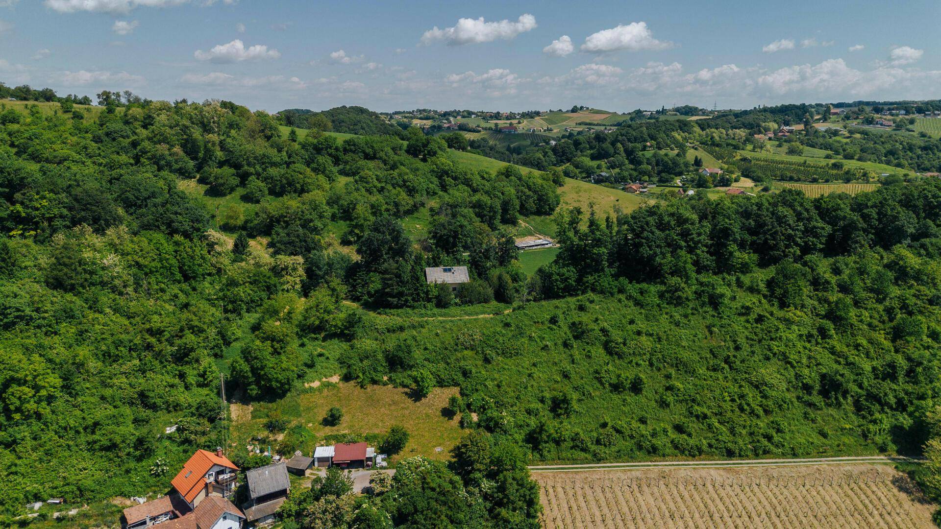 Dichte grüne Wälder und hügeliges Gelände mit vereinzelten Häusern unter einem sonnigen Himmel.