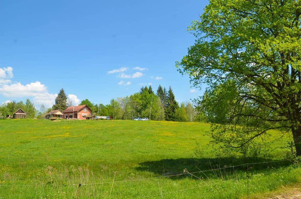 Weitläufige grüne Felder unter blauem Himmel mit dem Anwesen und Bäumen in der Ferne.