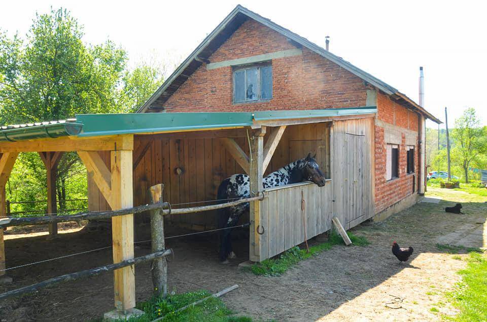 Ziegelhaus mit angebautem Unterstand, der als Stall oder Carport dient, und Pferden auf dem Land.