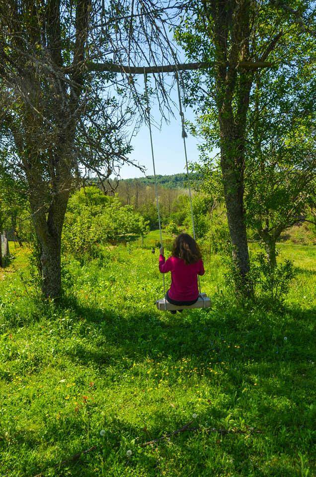 Eine Person schaukelt entspannt zwischen Bäumen in einem weitläufigen, grünen Gartenbereich mit Blick in die Natur.