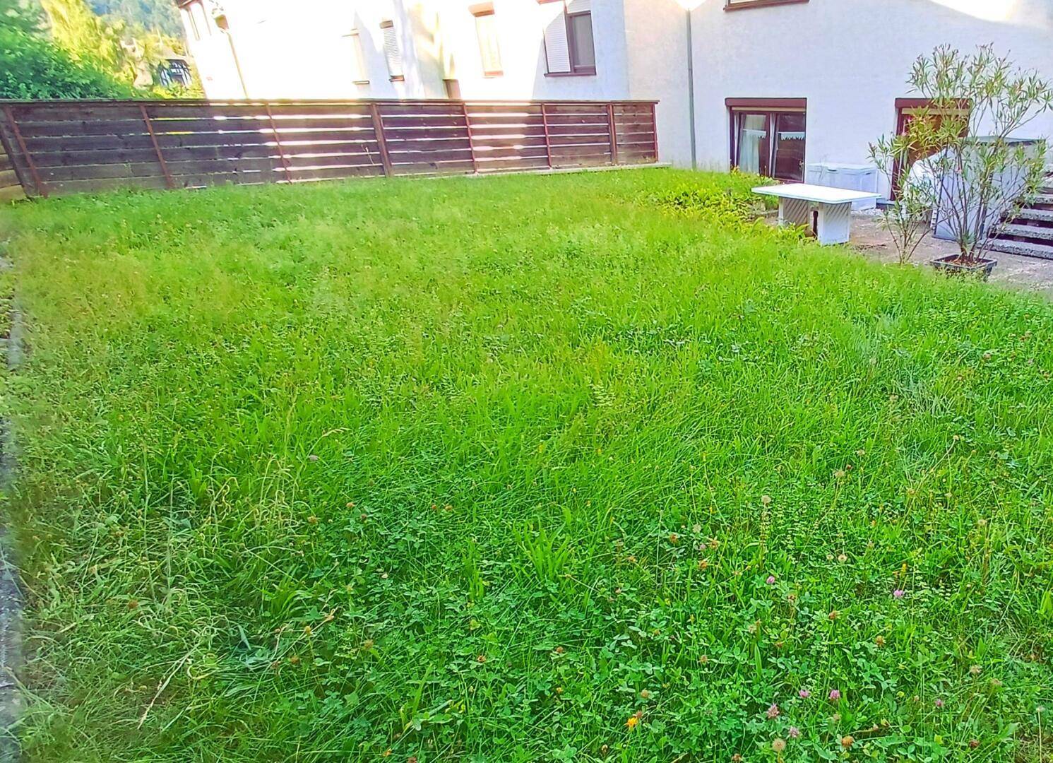 001 Garten 2