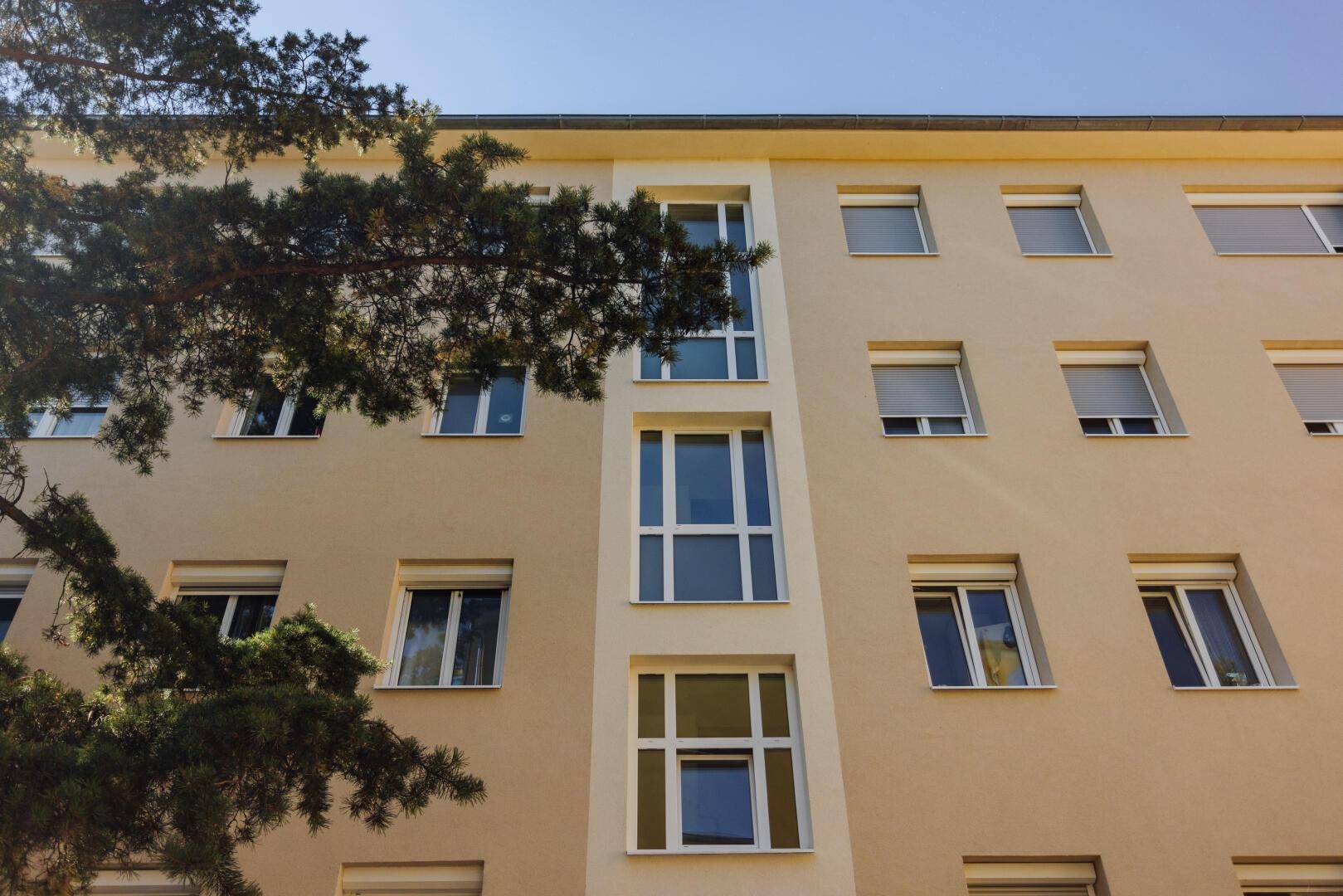 Haus