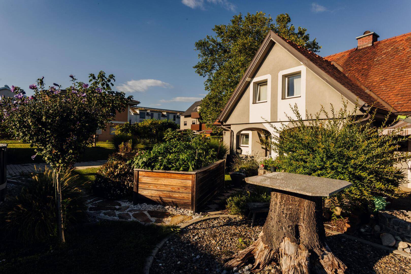 Sonniger Garten mit Hochbeeten, Sträuchern und einem Baumstumpf als Dekoration.