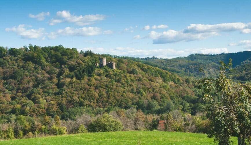 Grüne Hügellandschaft mit bewaldeten Hängen und historischen Ruinen in der Ferne unter blauem Himmel.