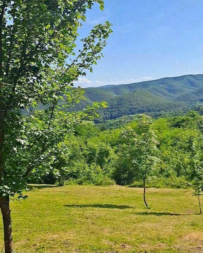 Sonnige grüne Landschaft mit Bäumen und bewaldeten Hügeln im Hintergrund unter klarem Himmel.