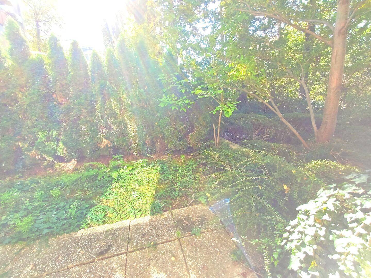 01 Garten SW
