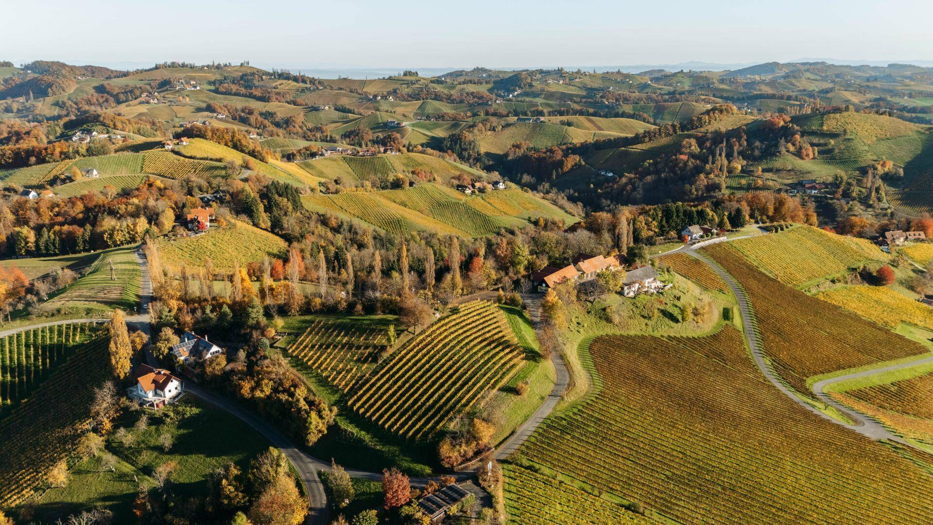 Weitläufige Luftaufnahme des Anwesens, umgeben von Weinbergen, Hügeln und verstreuten Häusern im Herbst.
