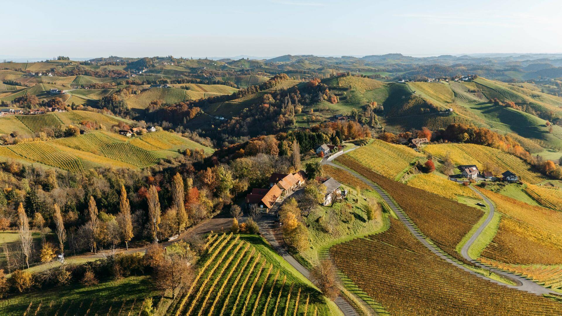 Panoramablick auf das Anwesen und die umliegenden Weinberge, eingebettet in die weite, herbstliche Hügellandschaft.