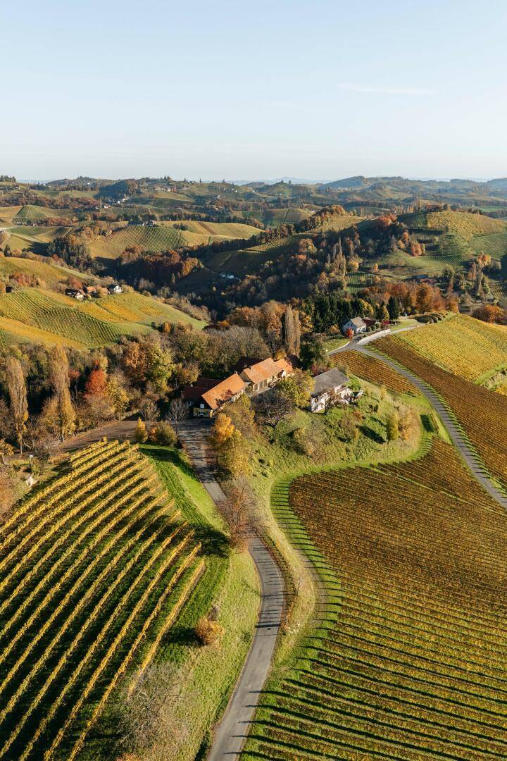 Vertikale Luftaufnahme des Anwesens, eingebettet in die malerischen Weinberge und die hügelige Landschaft.