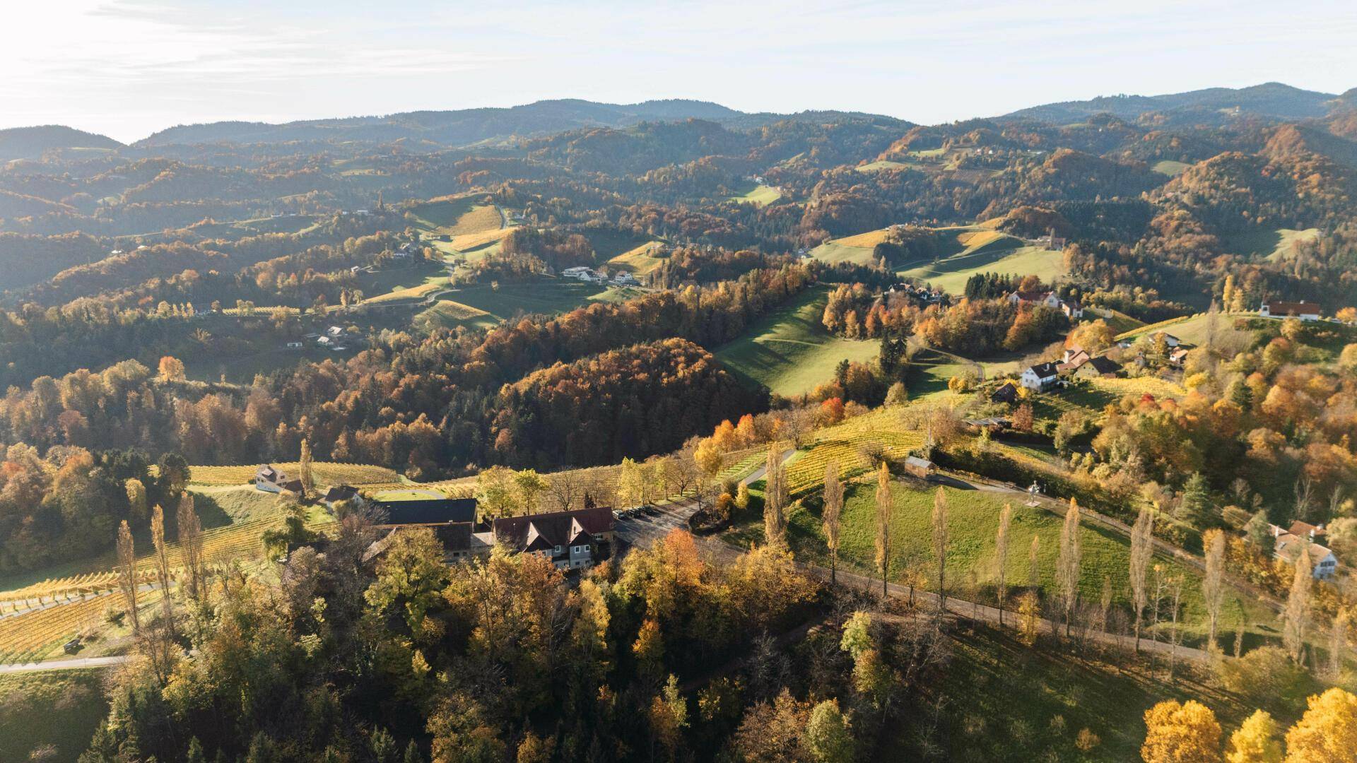 Luftaufnahme des Anwesens, umgeben von der weiten, herbstlichen Weinbergslandschaft unter klarem Himmel.