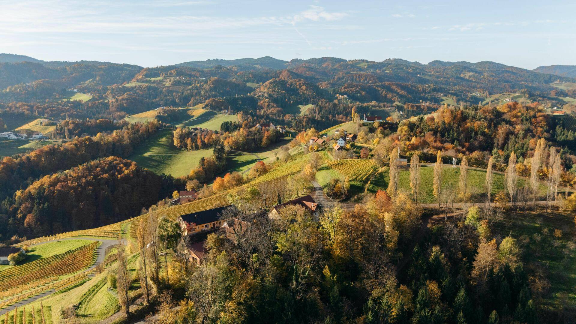 Weitwinkelaufnahme des Anwesens mit Blick auf die ausgedehnten Weinberge und die sanften Hügel im Herbst.