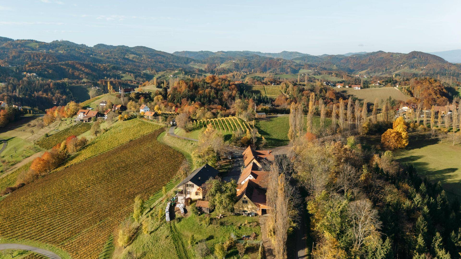 Panoramablick auf das Anwesen und die umliegenden Weinberge, eingebettet in die weite, herbstliche Hügellandschaft.