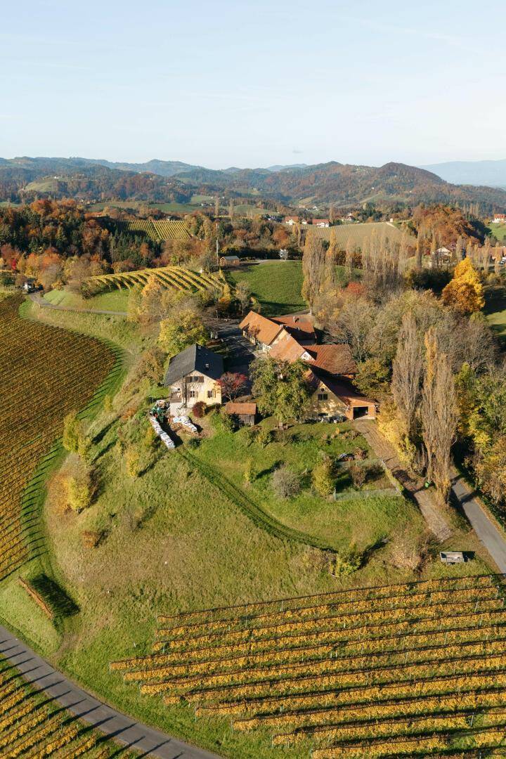 Vertikale Luftaufnahme des Anwesens, umgeben von den charakteristischen Weinbergen und der hügeligen Landschaft.
