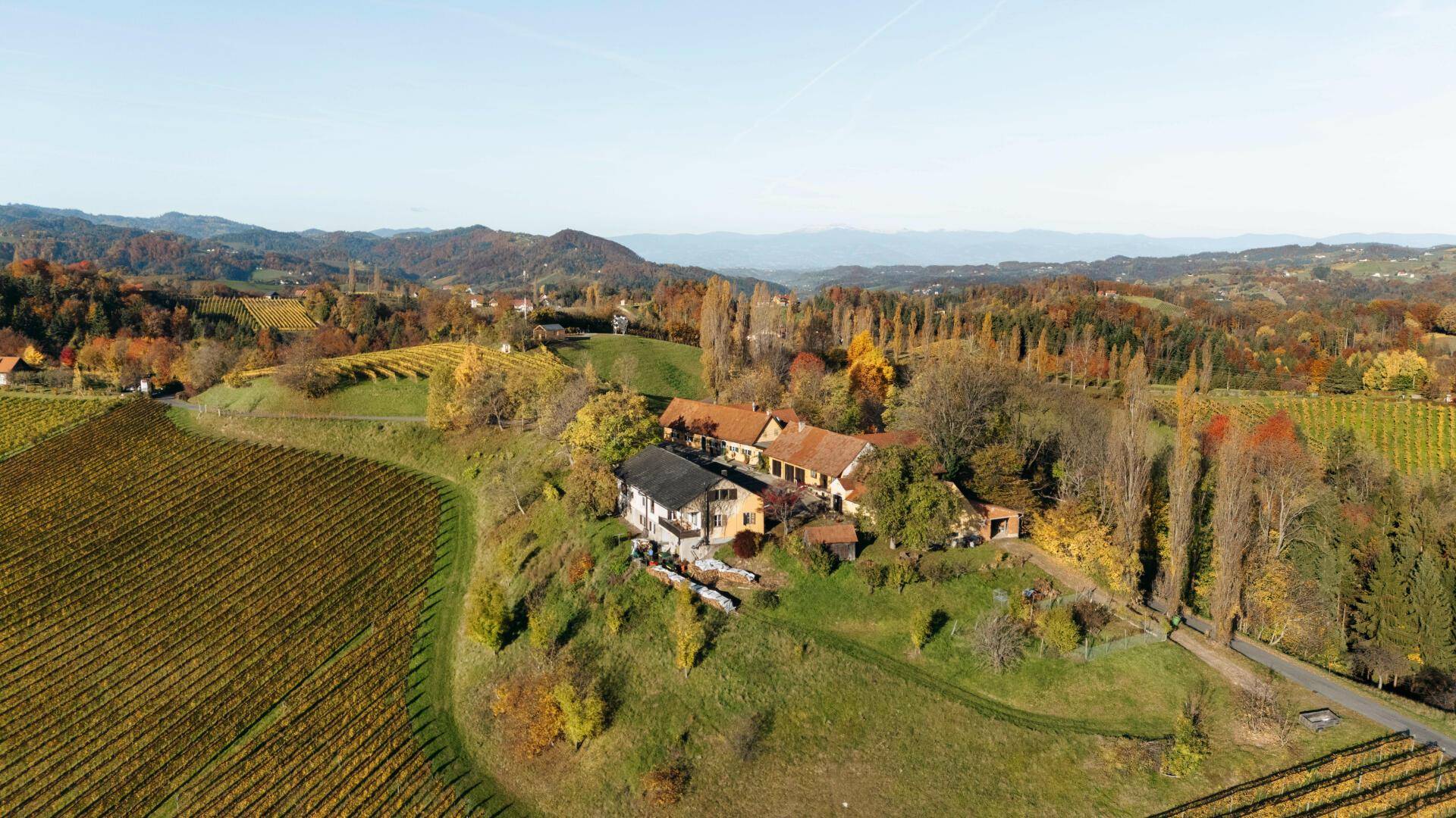 Weitläufige Luftaufnahme des Anwesens, eingebettet in die ausgedehnten Weinberge und sanften Hügel der Region.